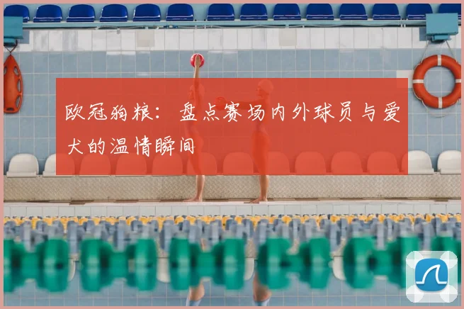 欧冠狗粮：盘点赛场内外球员与爱犬的温情瞬间