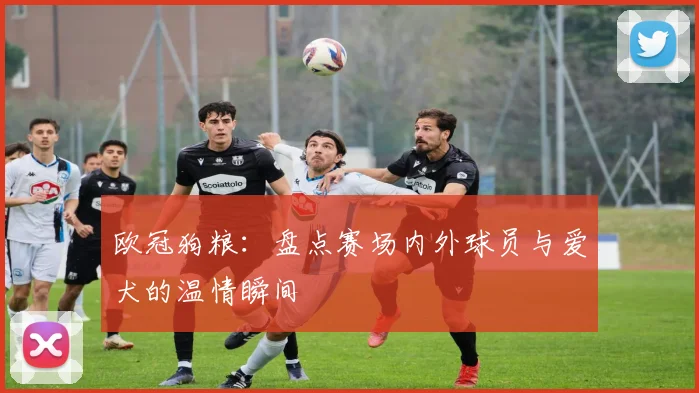 欧冠狗粮：盘点赛场内外球员与爱犬的温情瞬间