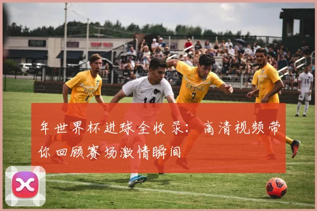 年世界杯进球全收录：高清视频带你回顾赛场激情瞬间