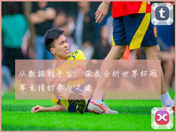 从数据到平台:深度分析世界杯冠军竞猜的参与之道