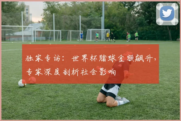 独家专访：世界杯赌球金额飙升，专家深度剖析社会影响