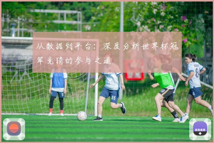 从数据到平台：深度分析世界杯冠军竞猜的参与之道