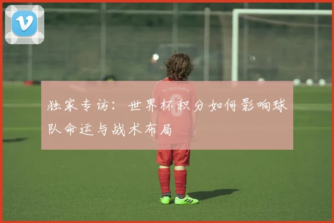 独家专访：世界杯积分如何影响球队命运与战术布局